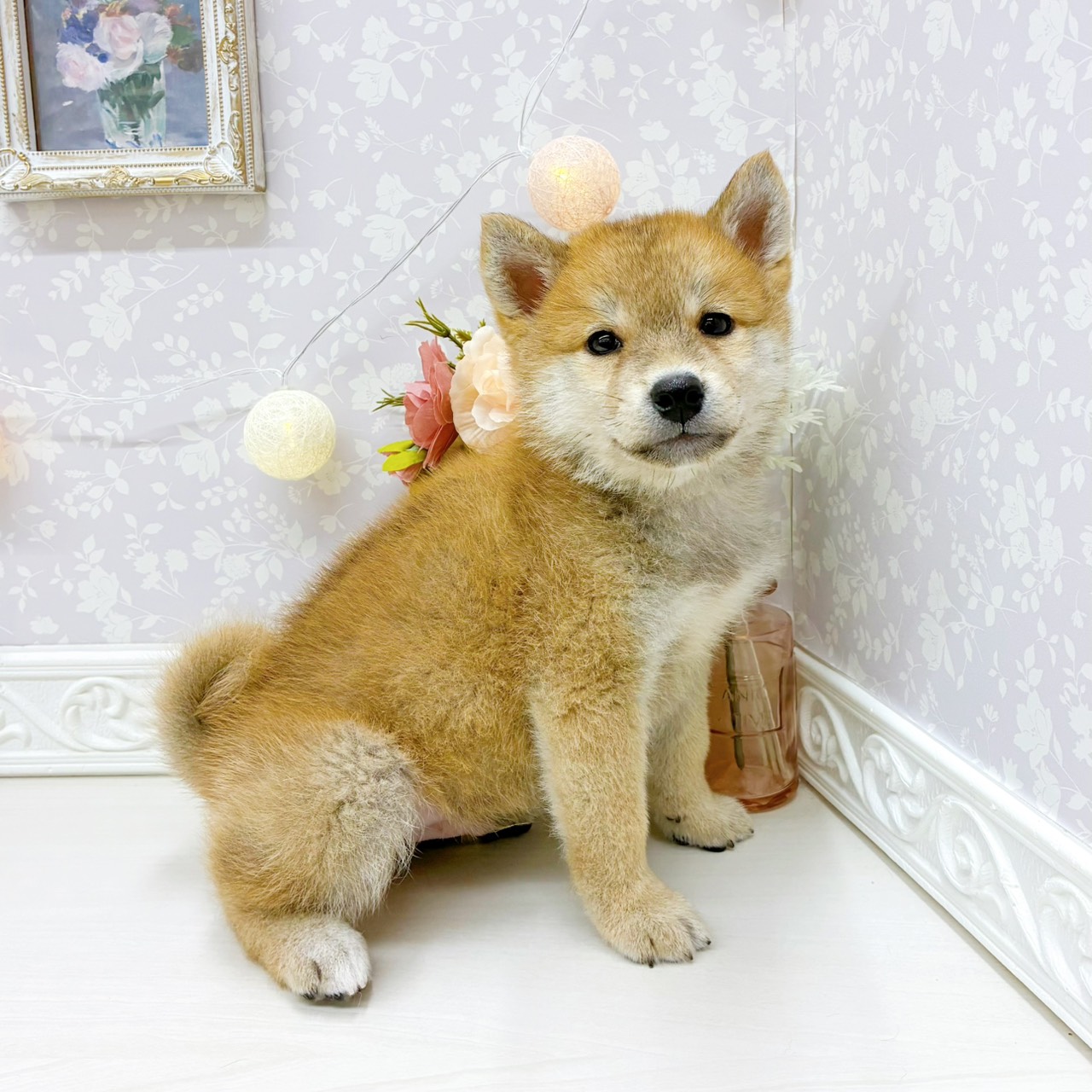 生体画像６