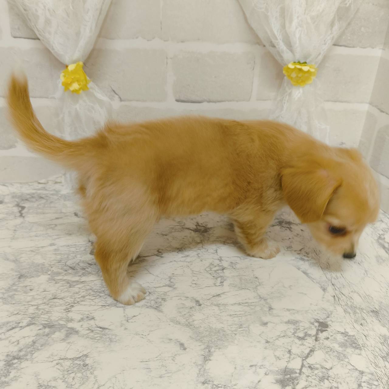 生体画像６