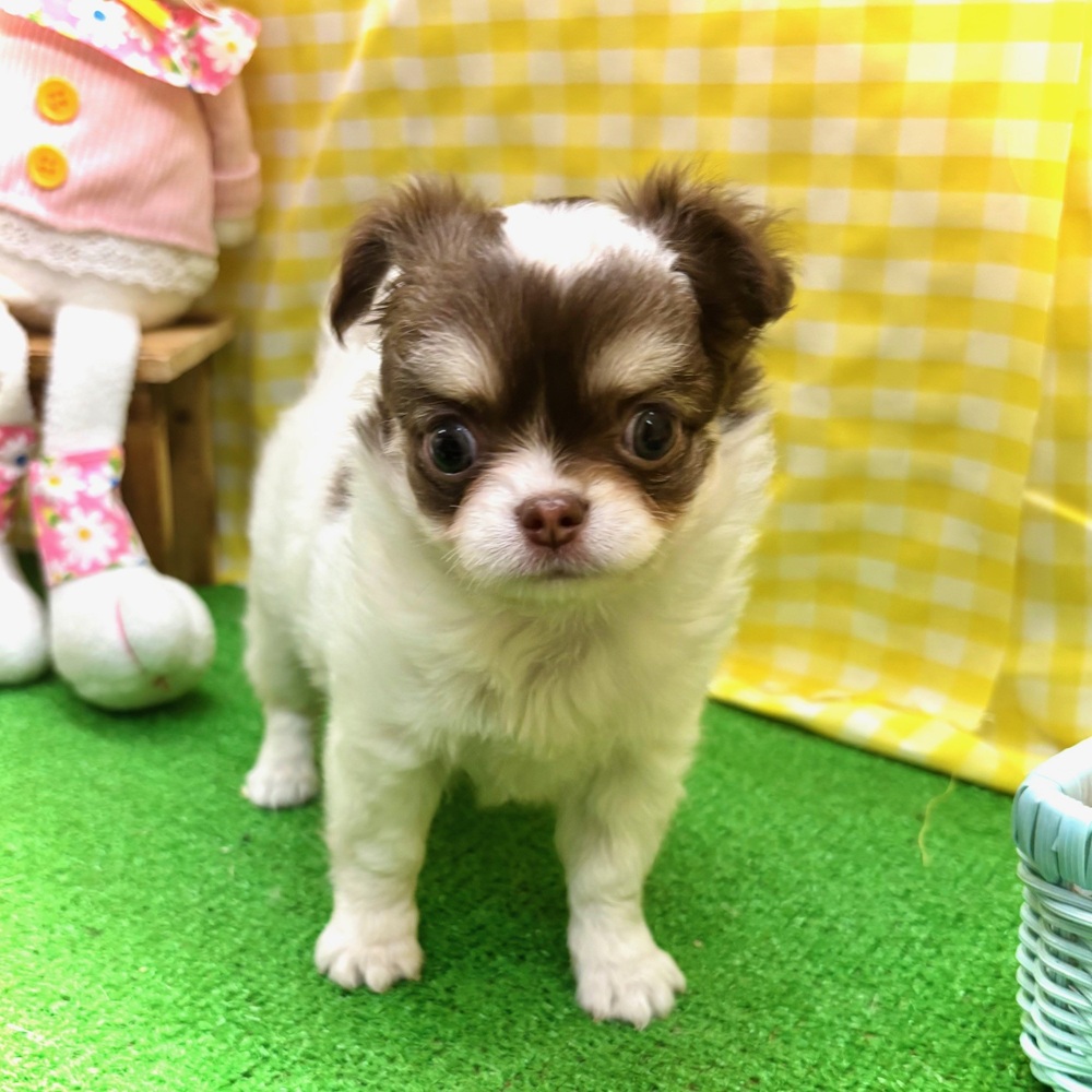 生体画像６