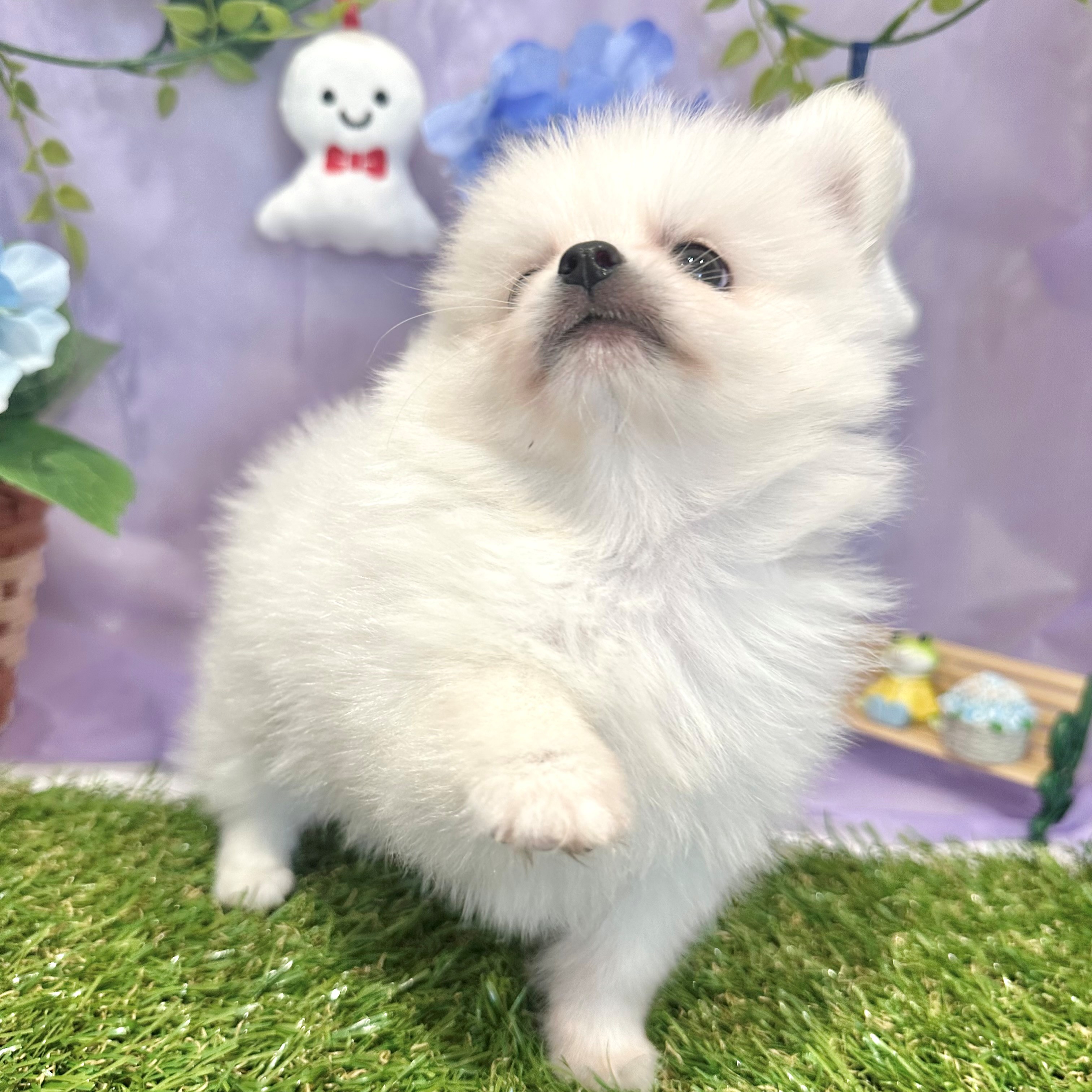 生体画像6