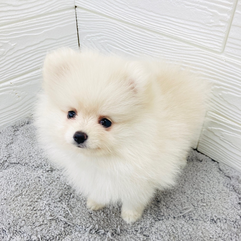 生体画像６