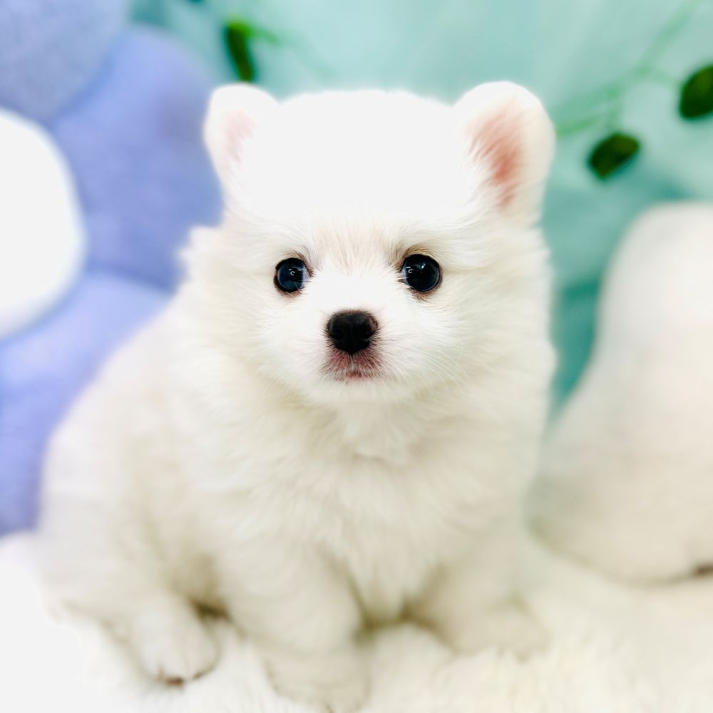 生体画像６