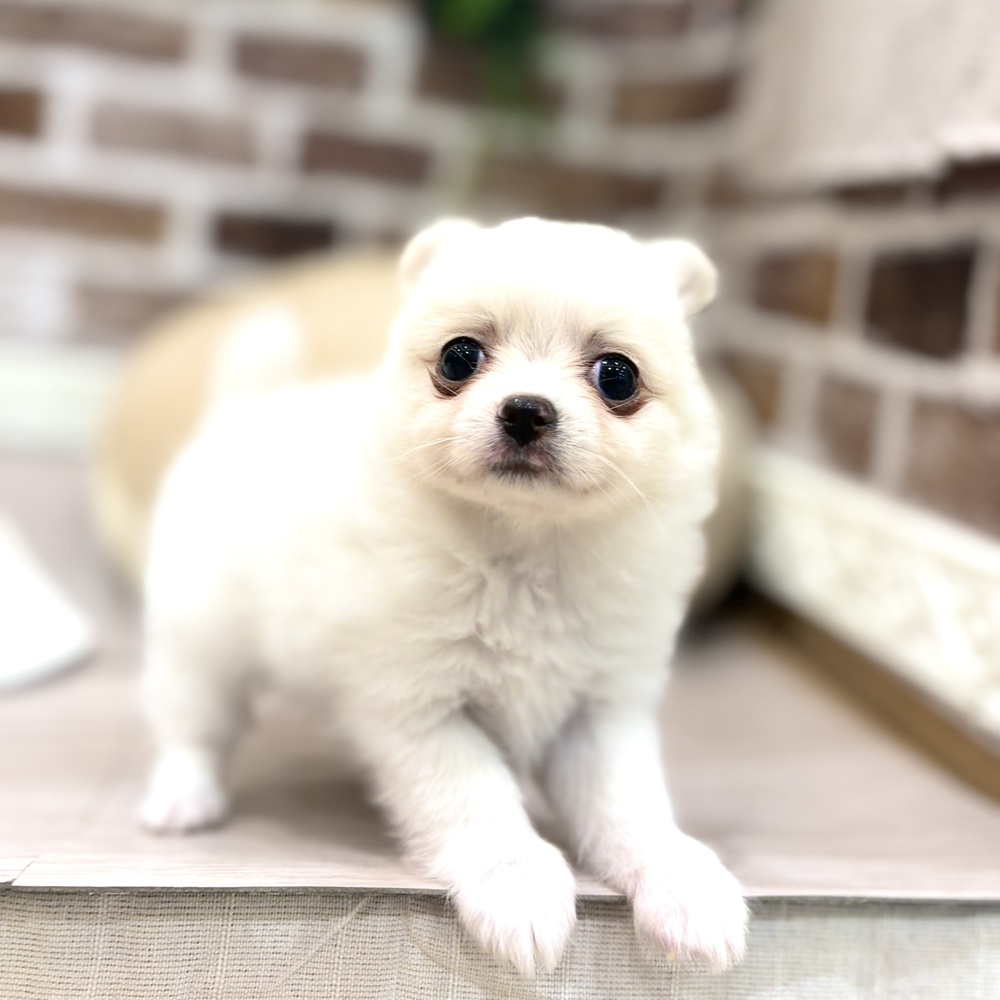生体画像６
