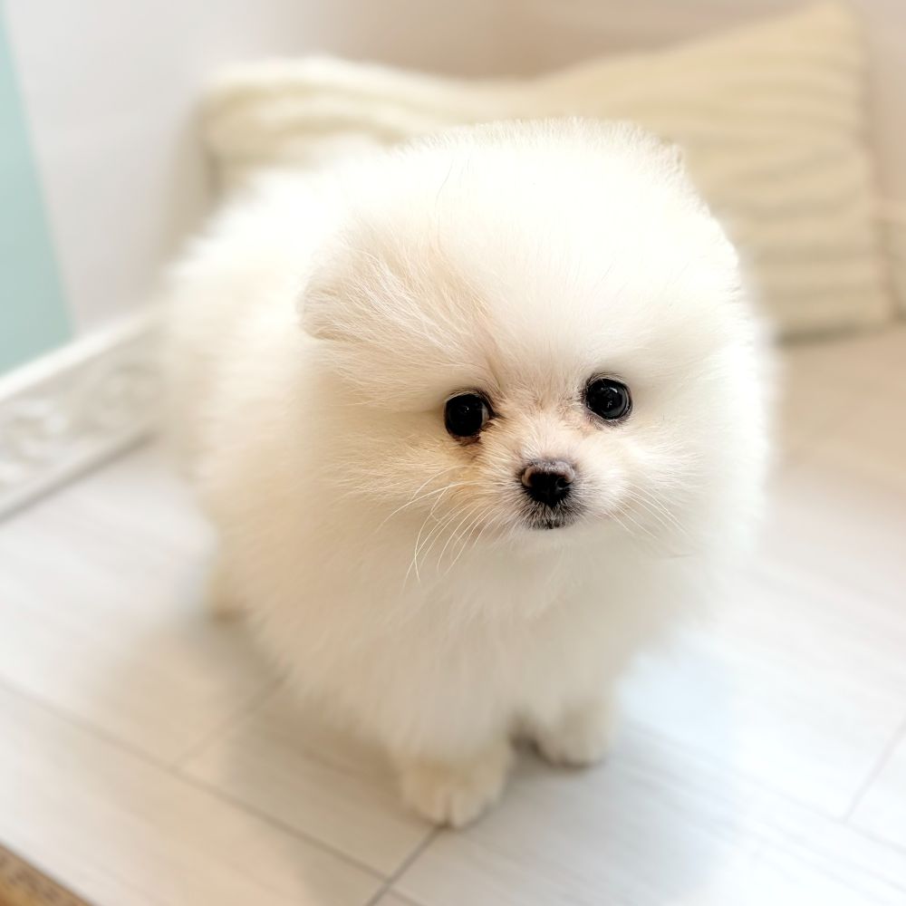 生体画像６