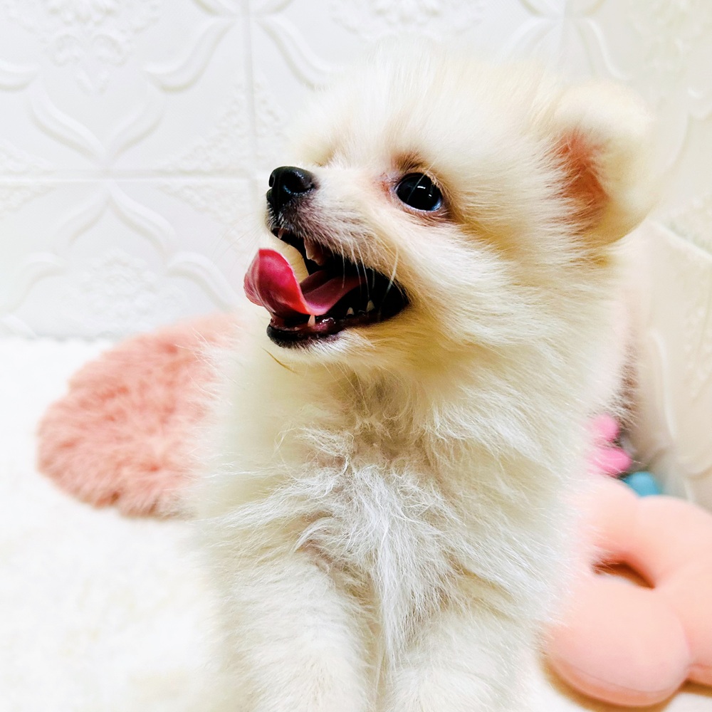 生体画像６
