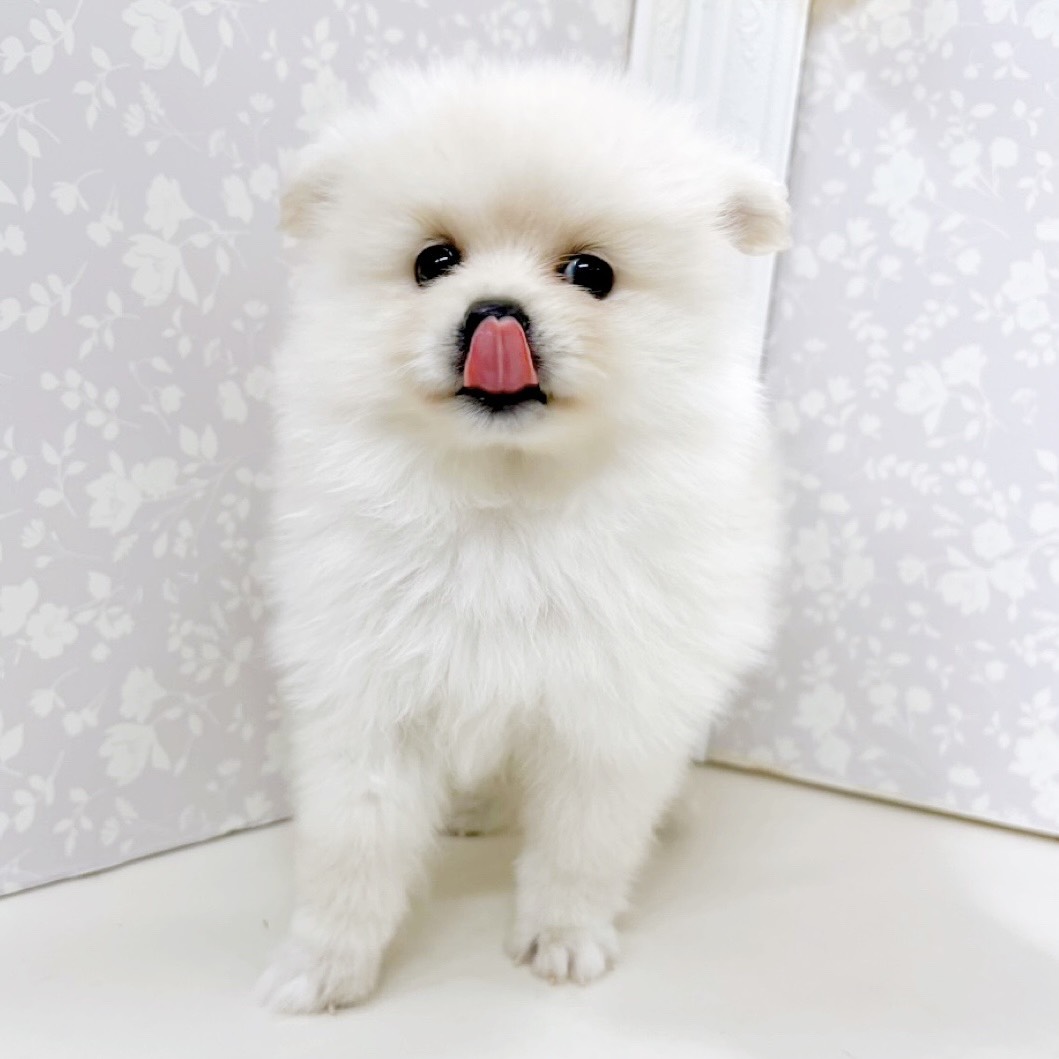 生体画像６