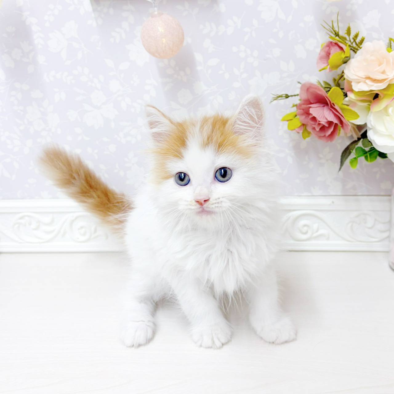 生体画像6