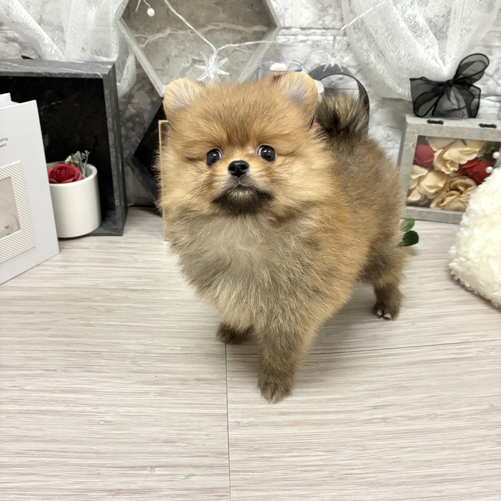 生体画像６