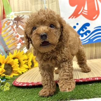 生体画像６