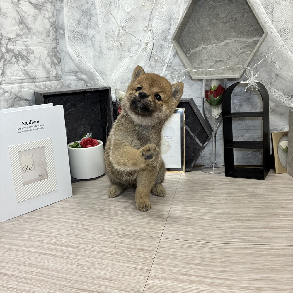 生体画像６