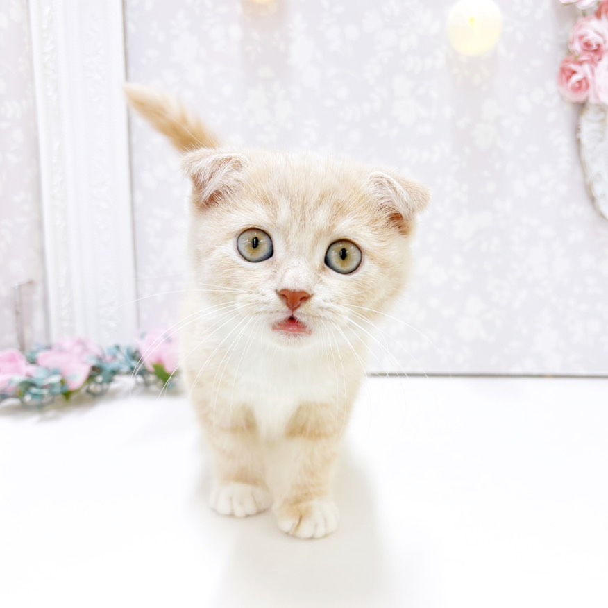 生体画像6