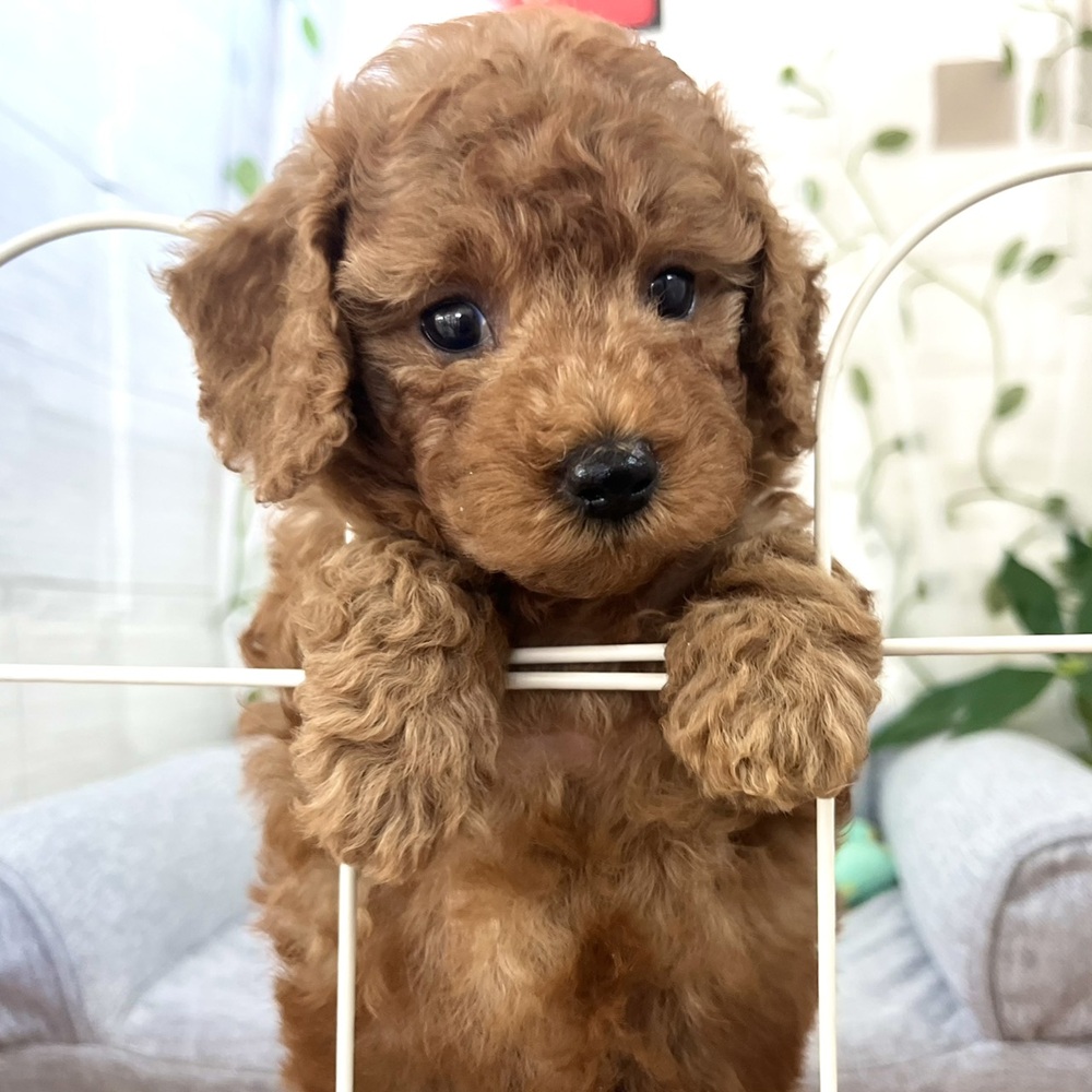 生体画像６