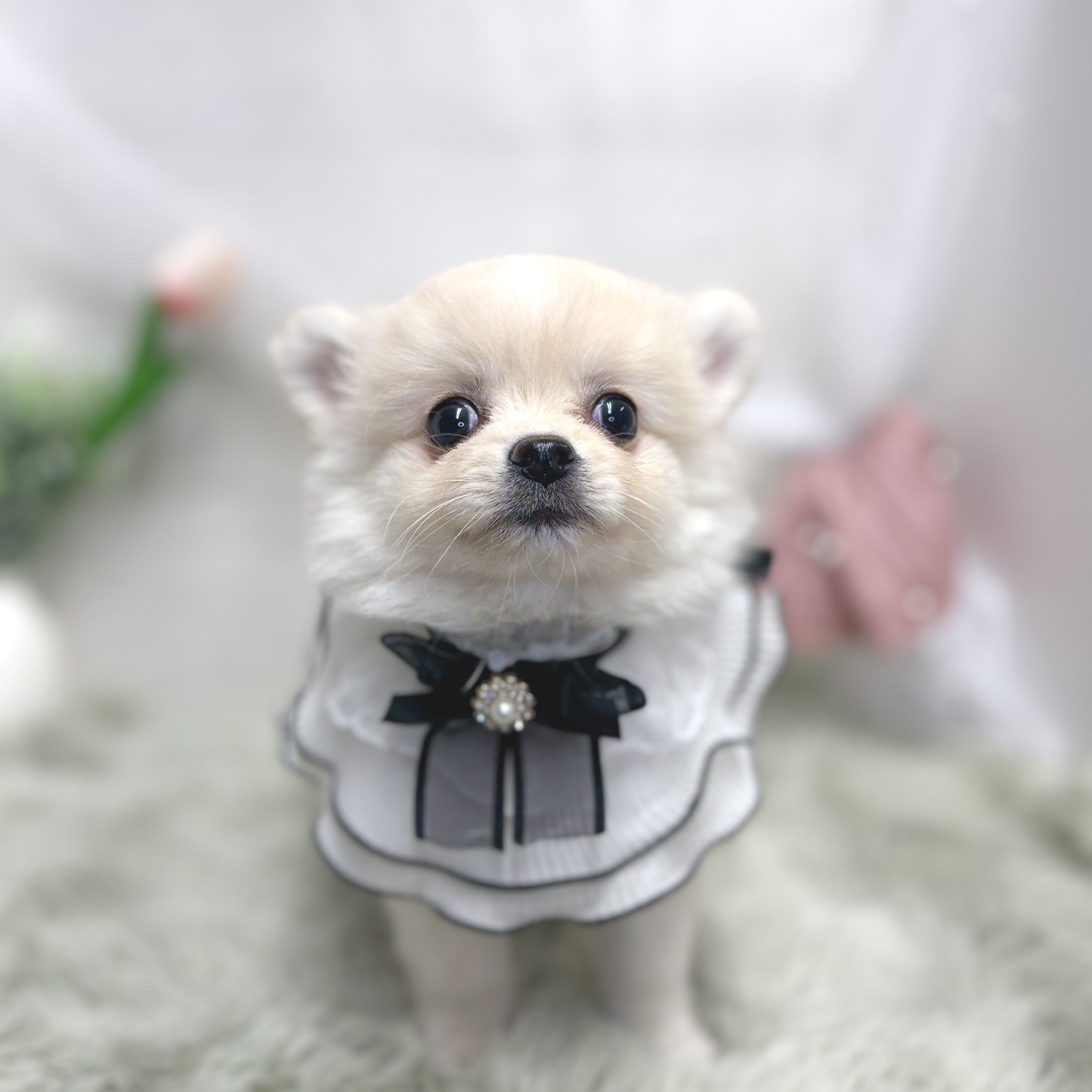 生体画像６