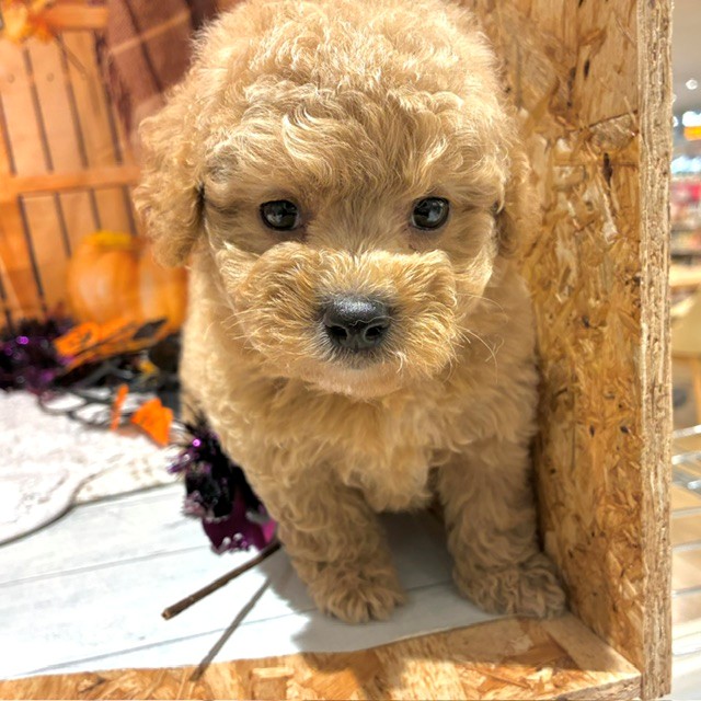 生体画像６