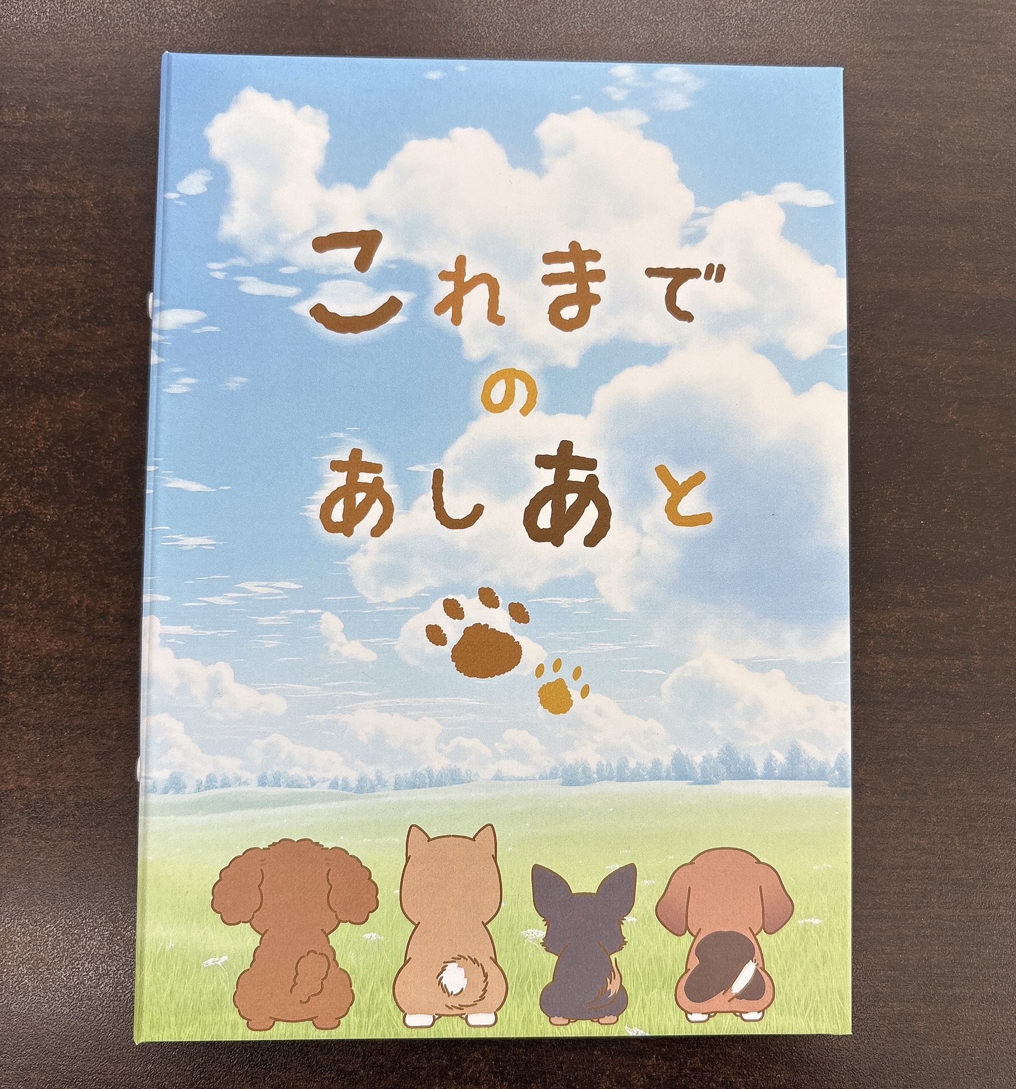 生体画像６