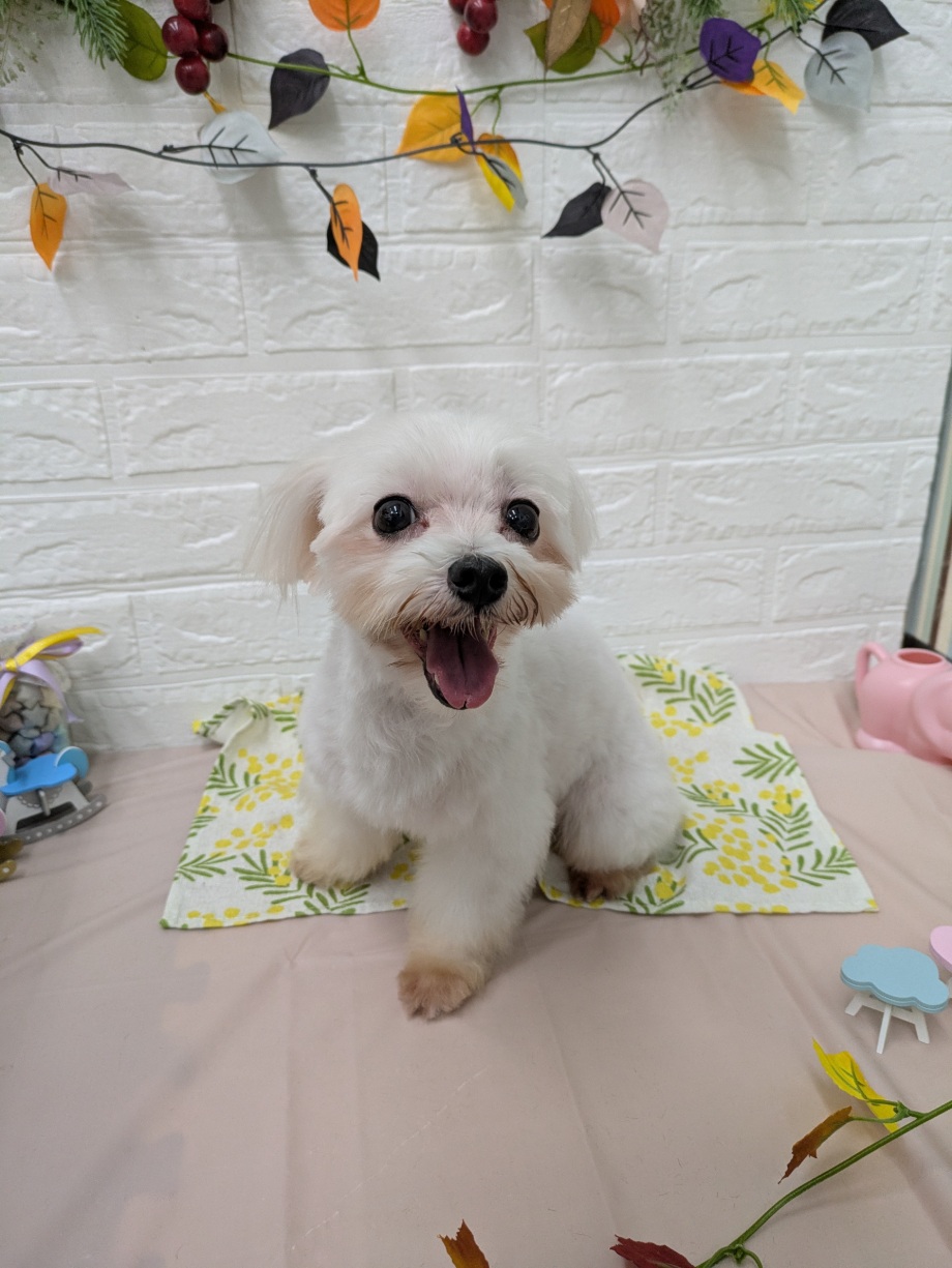 3番見られている子の画像