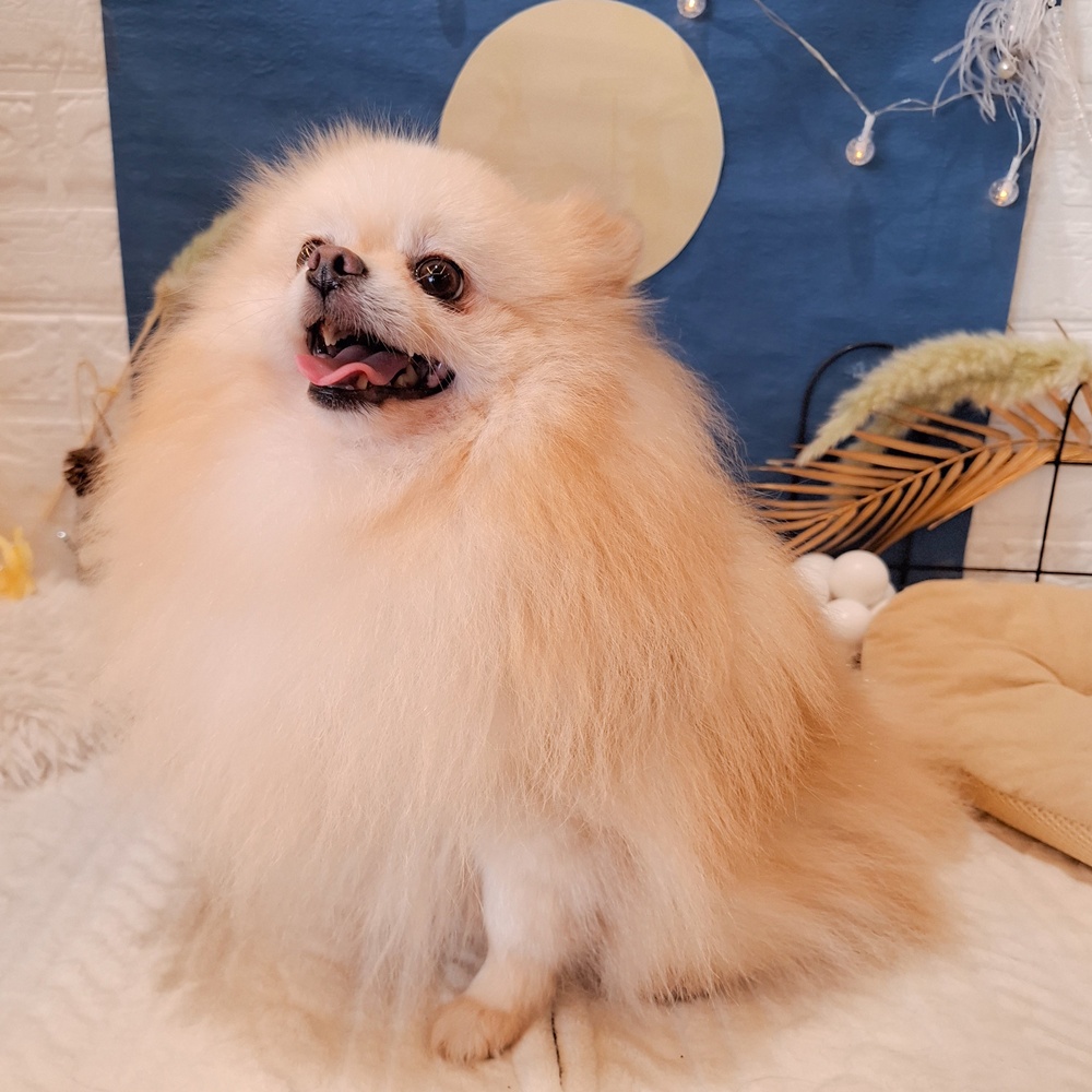 生体画像７