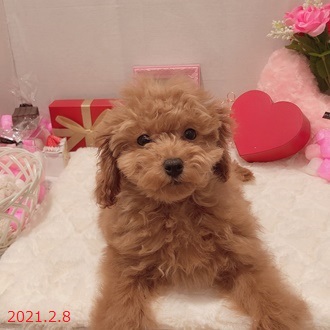 生体画像７