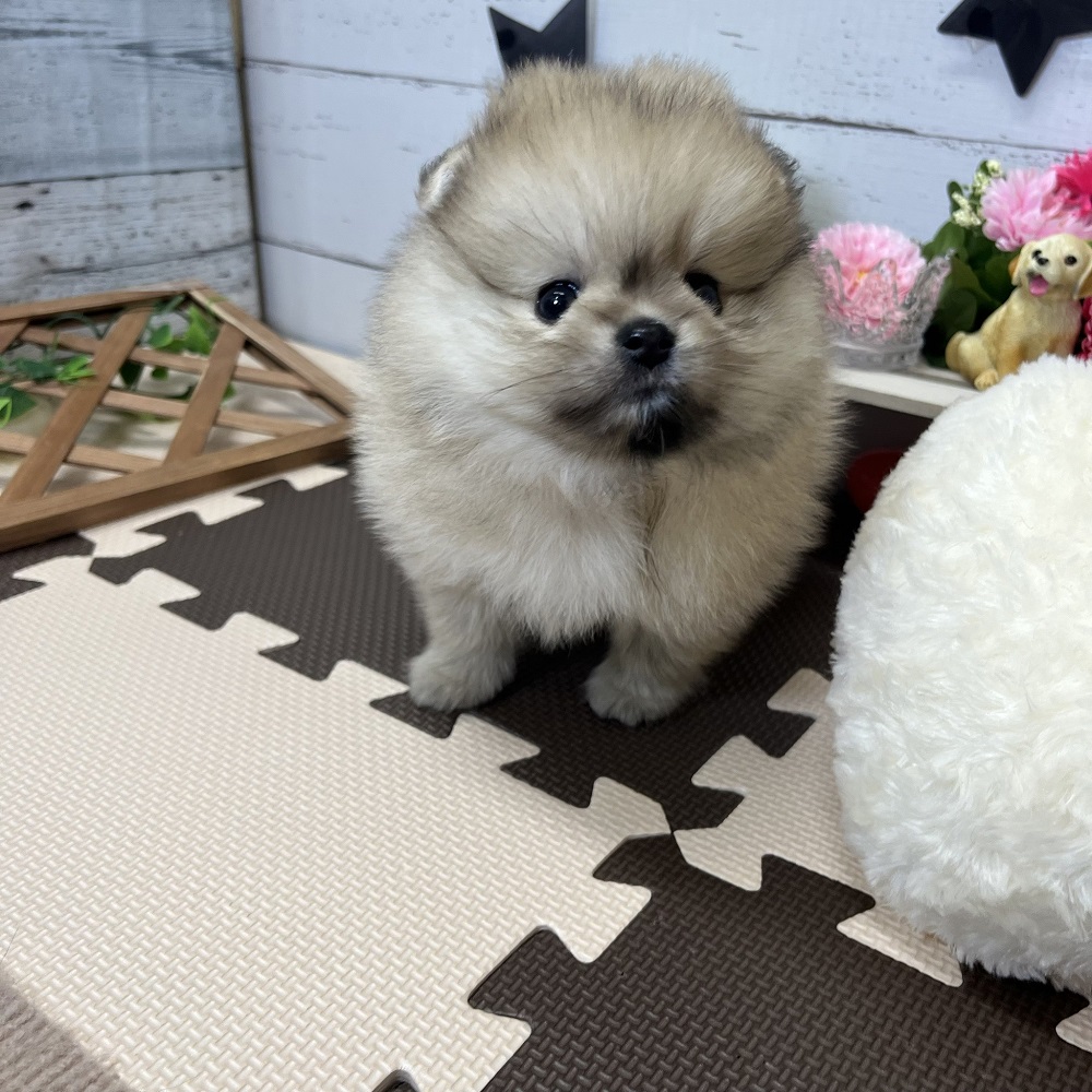 生体画像７