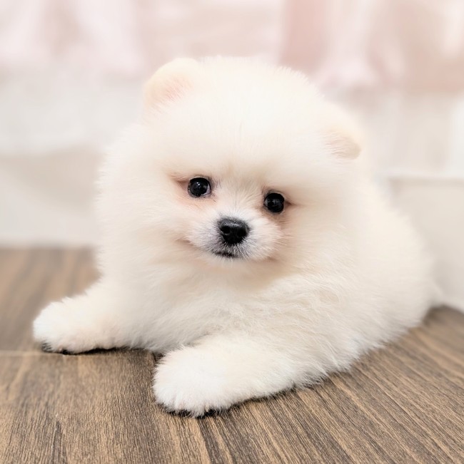 生体画像7
