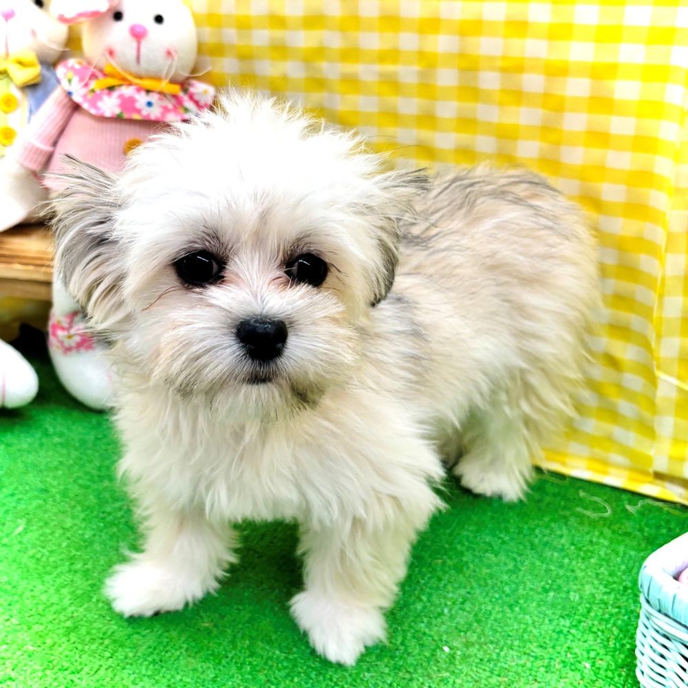 生体画像７