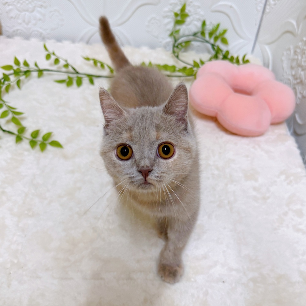 生体画像７