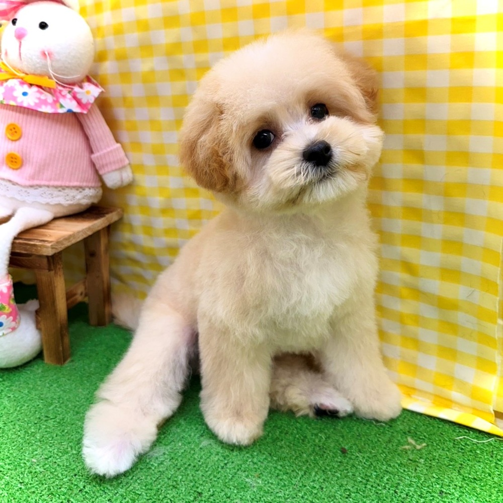 生体画像７