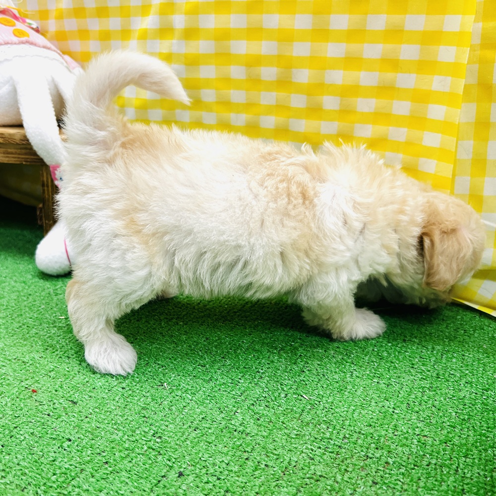 生体画像7