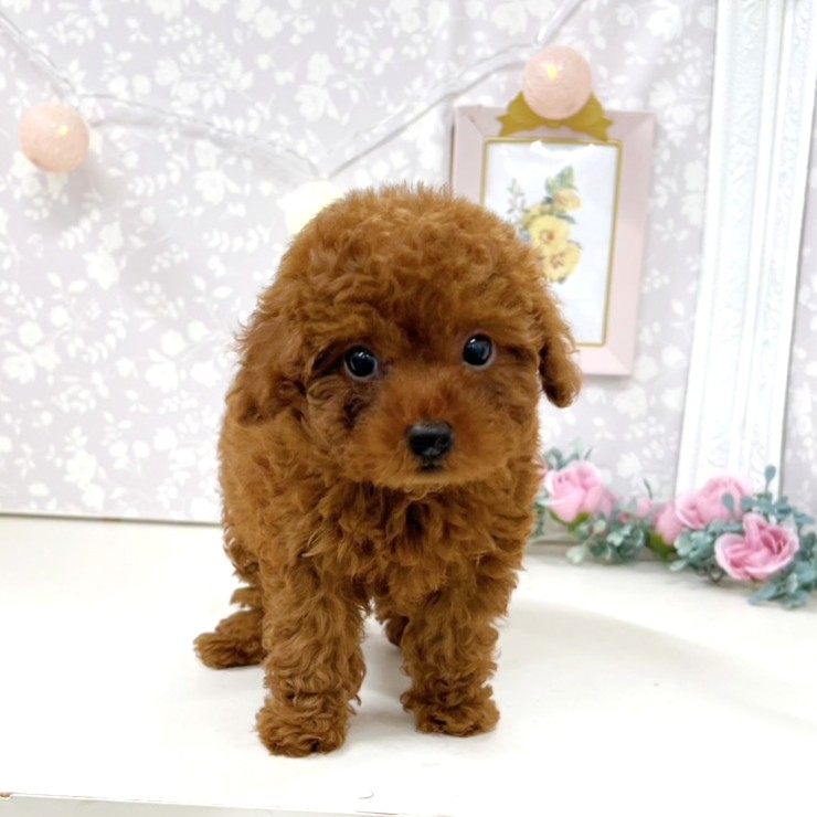 生体画像７