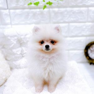 生体画像７