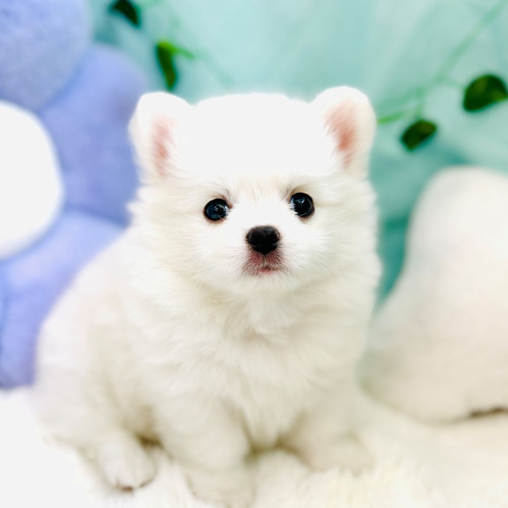 生体画像７