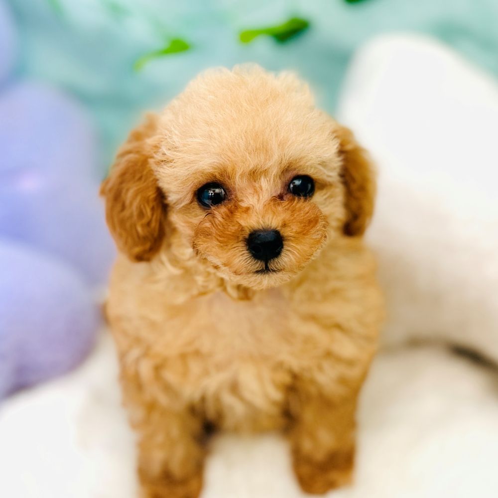 生体画像７