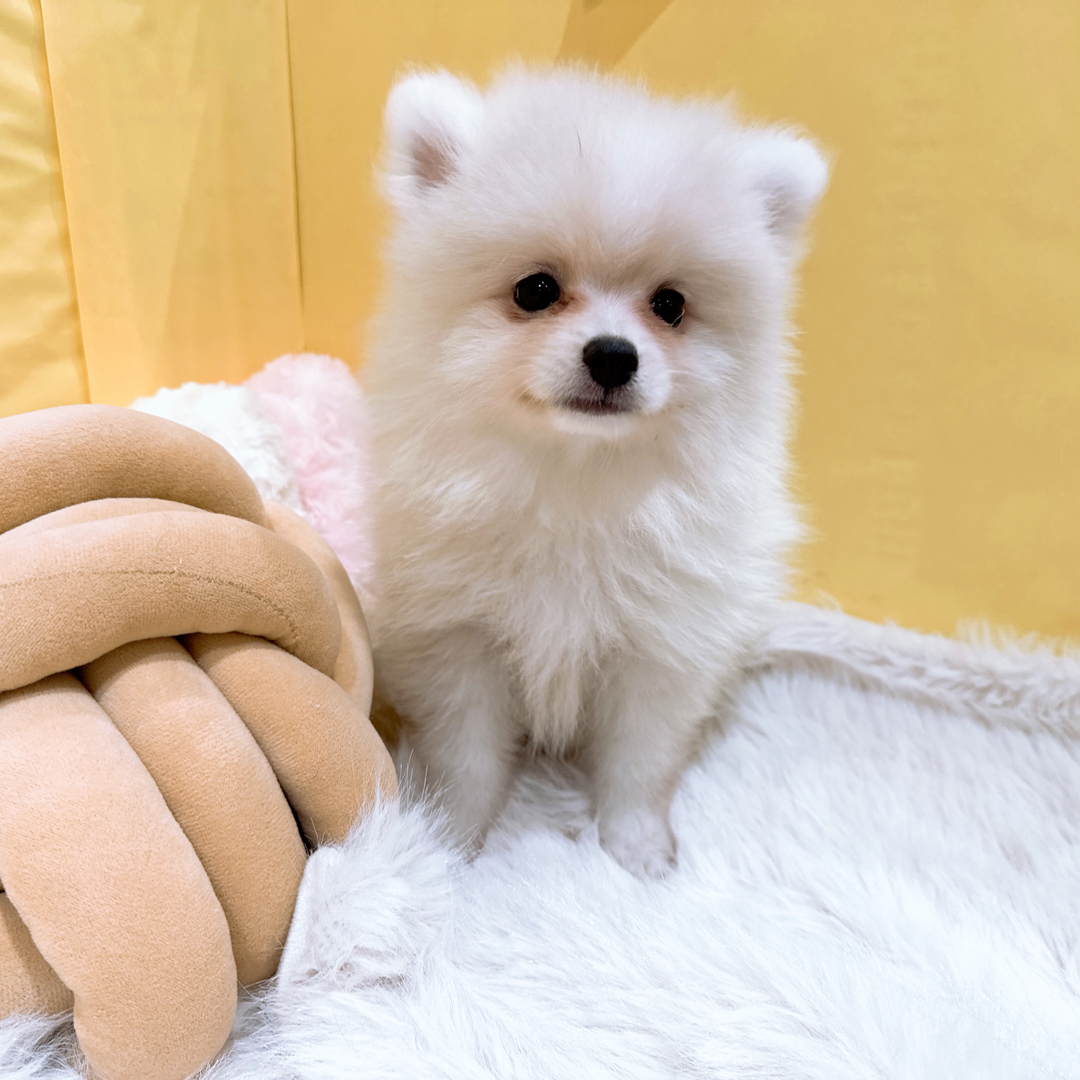 生体画像７