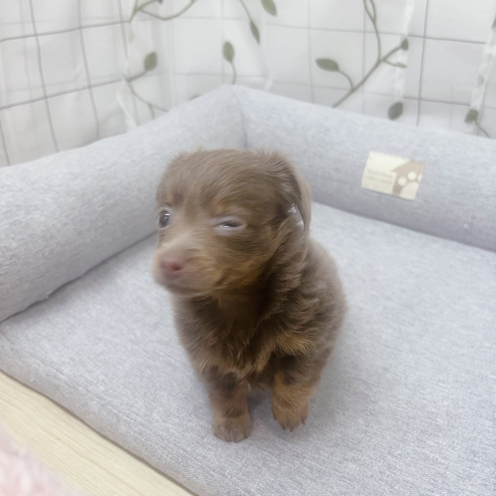 生体画像７