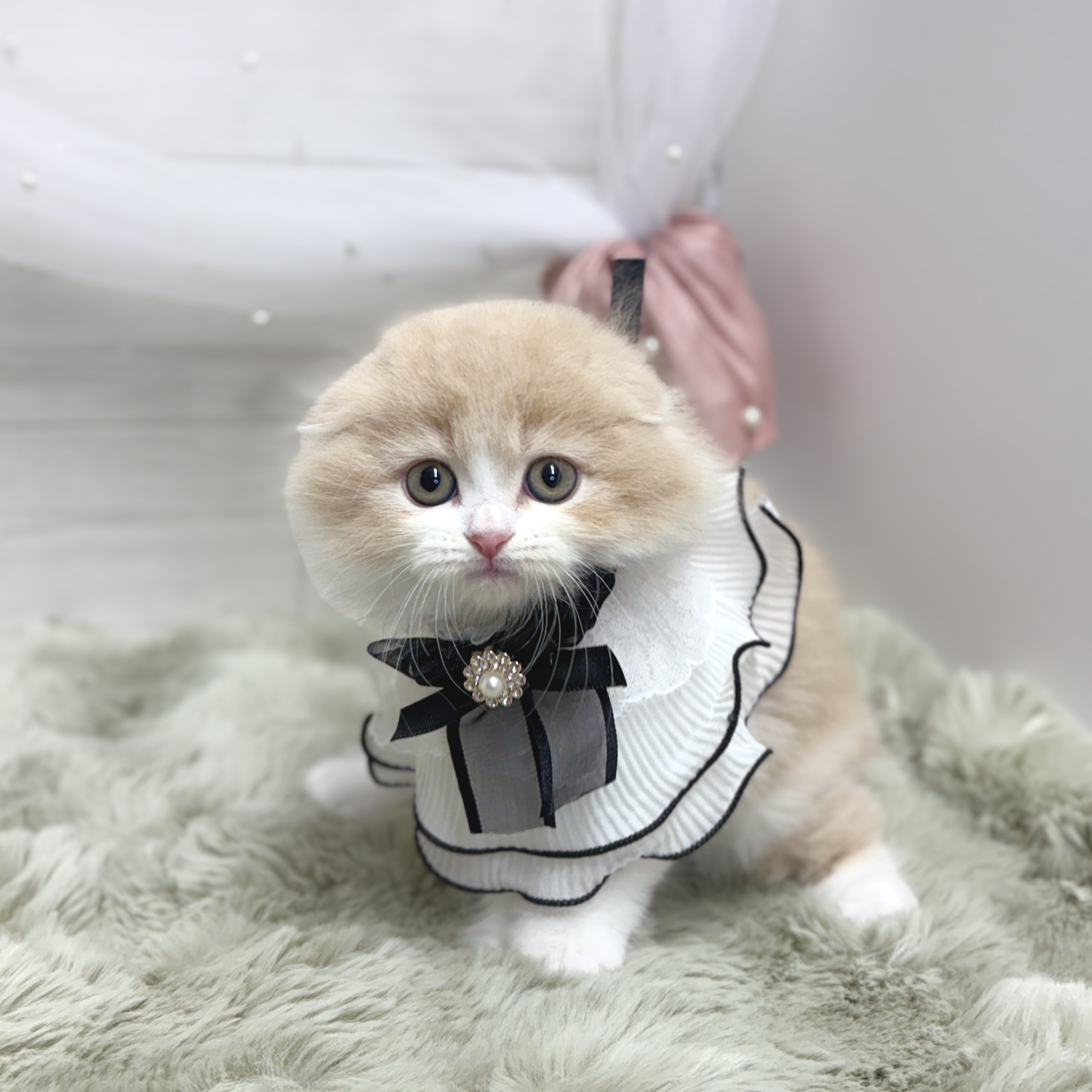 生体画像7