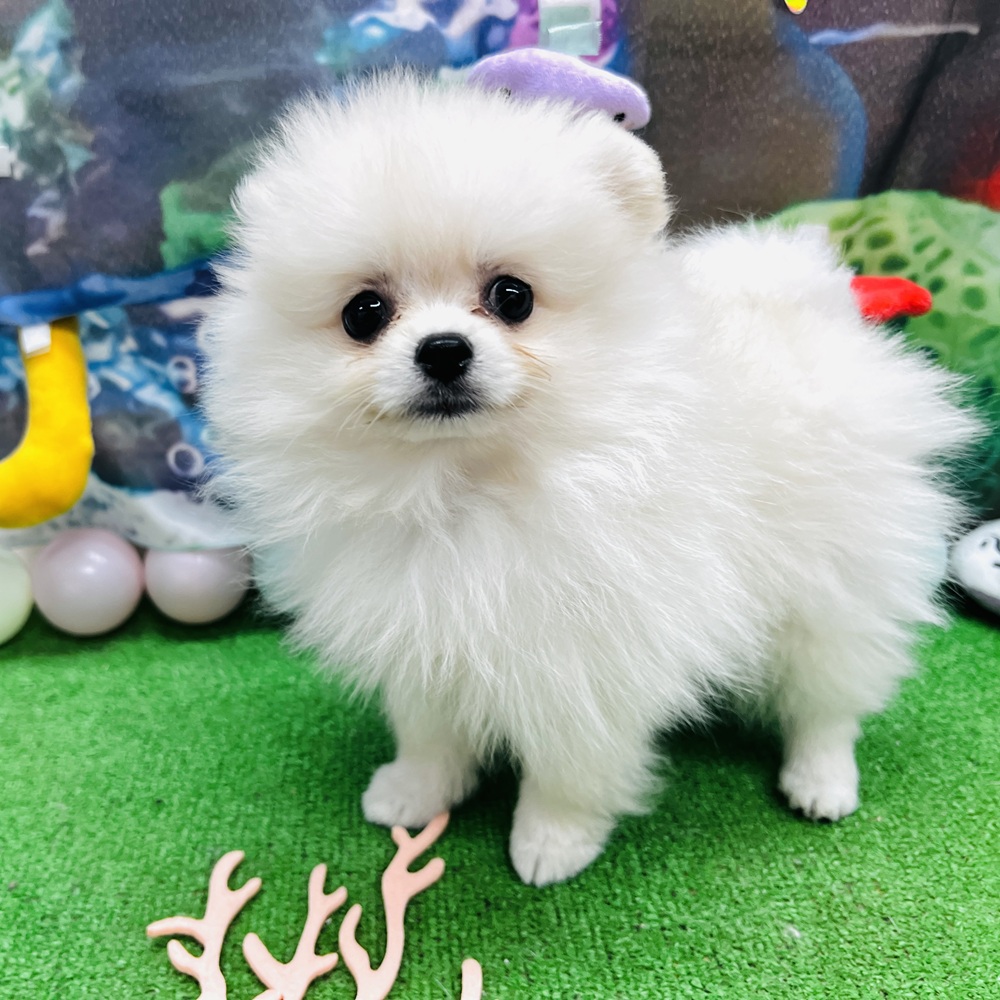 生体画像７