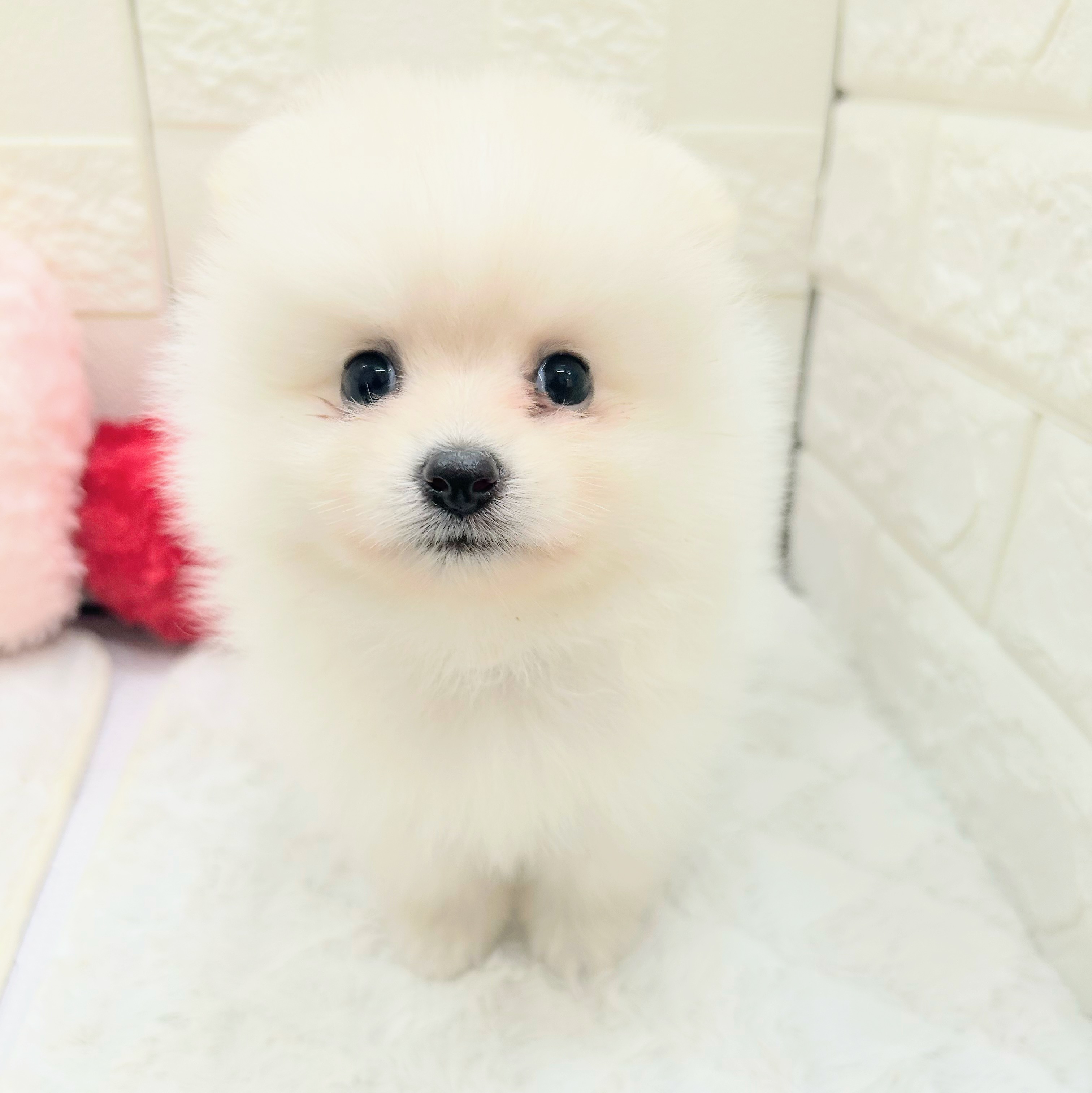 生体画像７