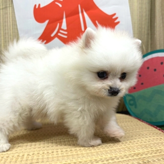 生体画像7