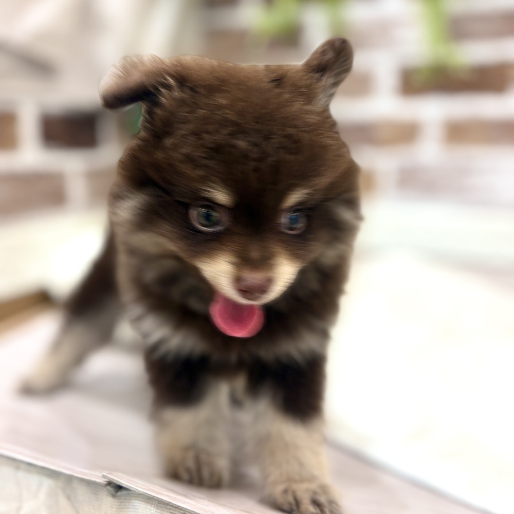 生体画像７