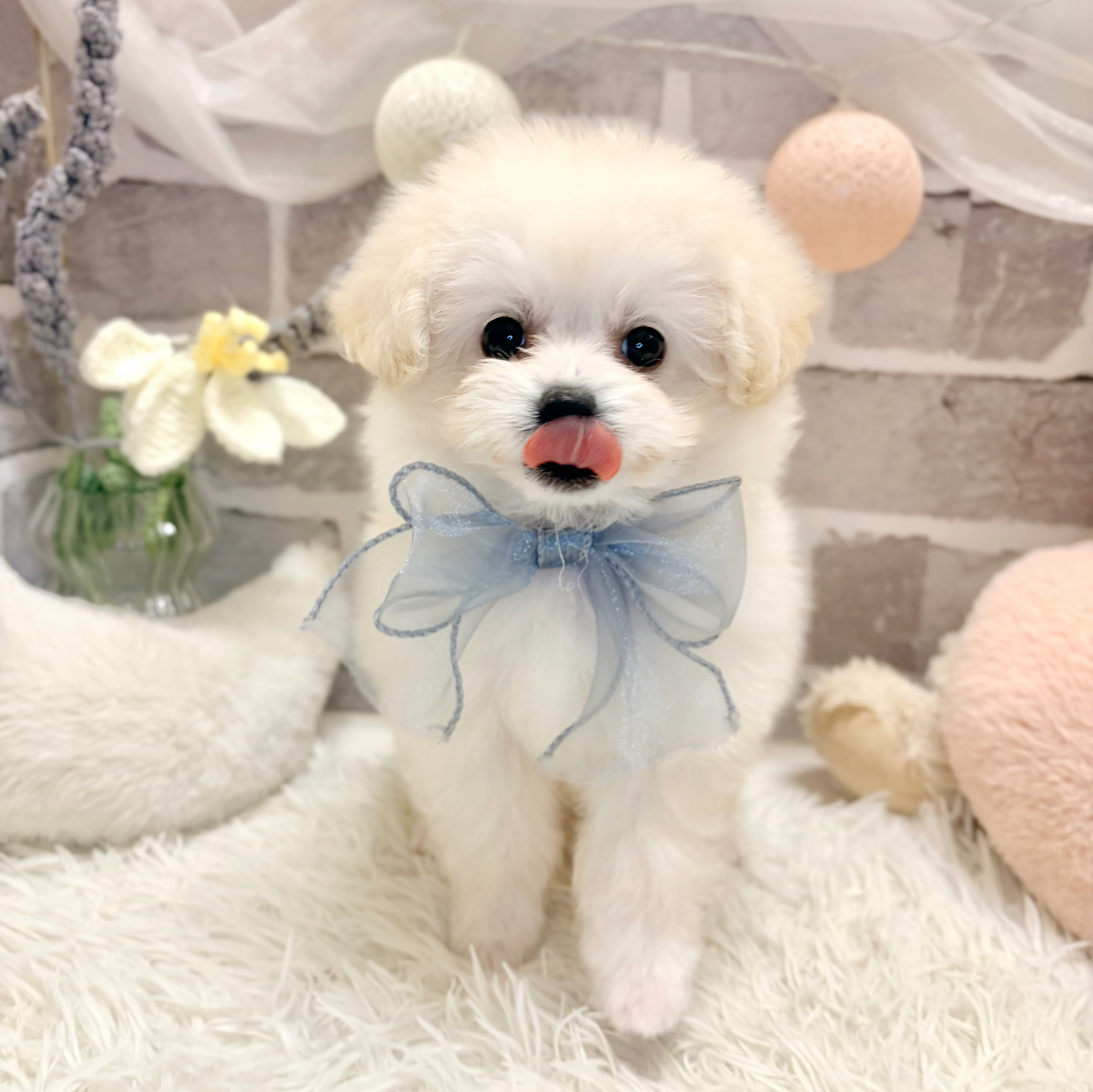 生体画像7