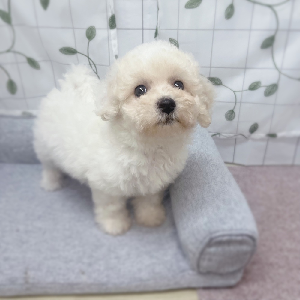 生体画像７