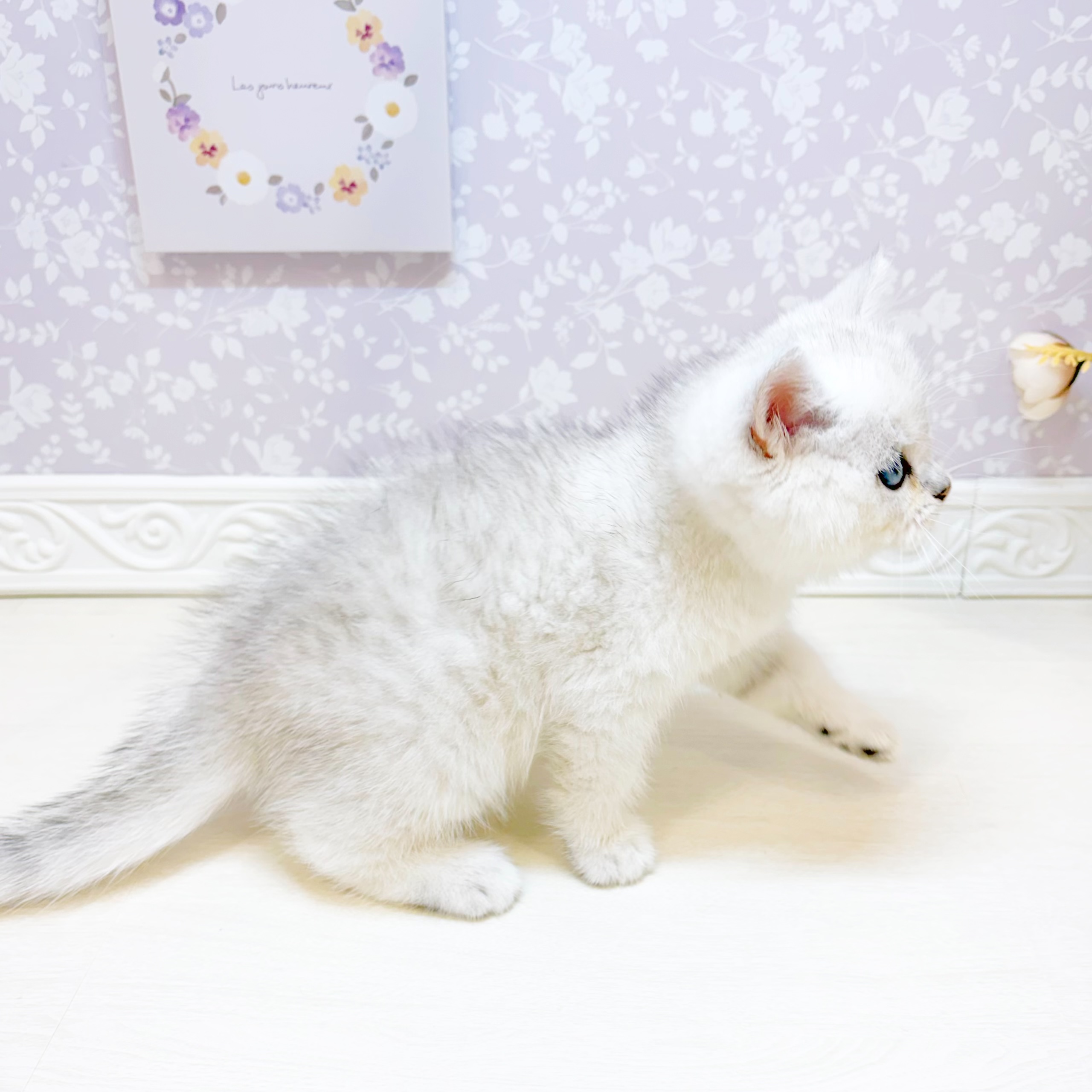 生体画像７