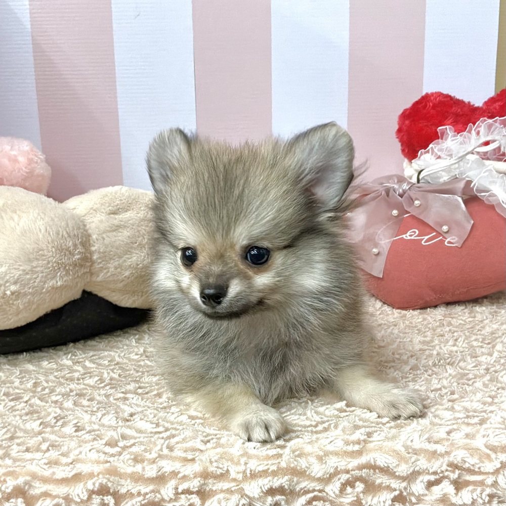 生体画像７