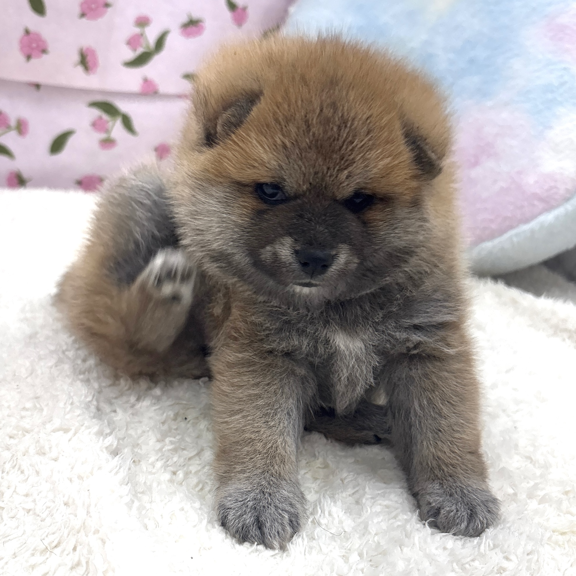 生体画像７