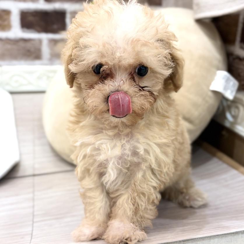 生体画像７