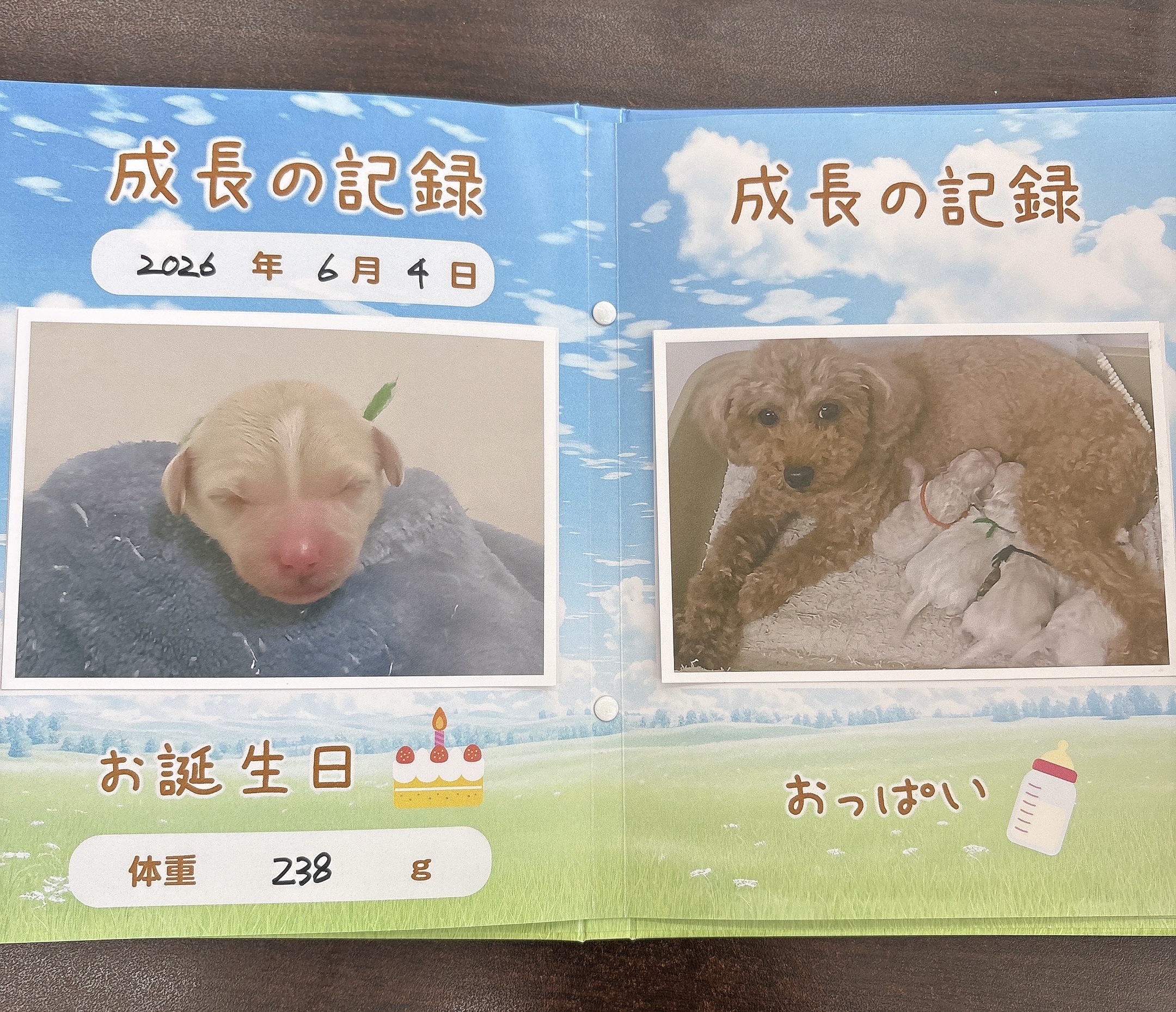 生体画像７