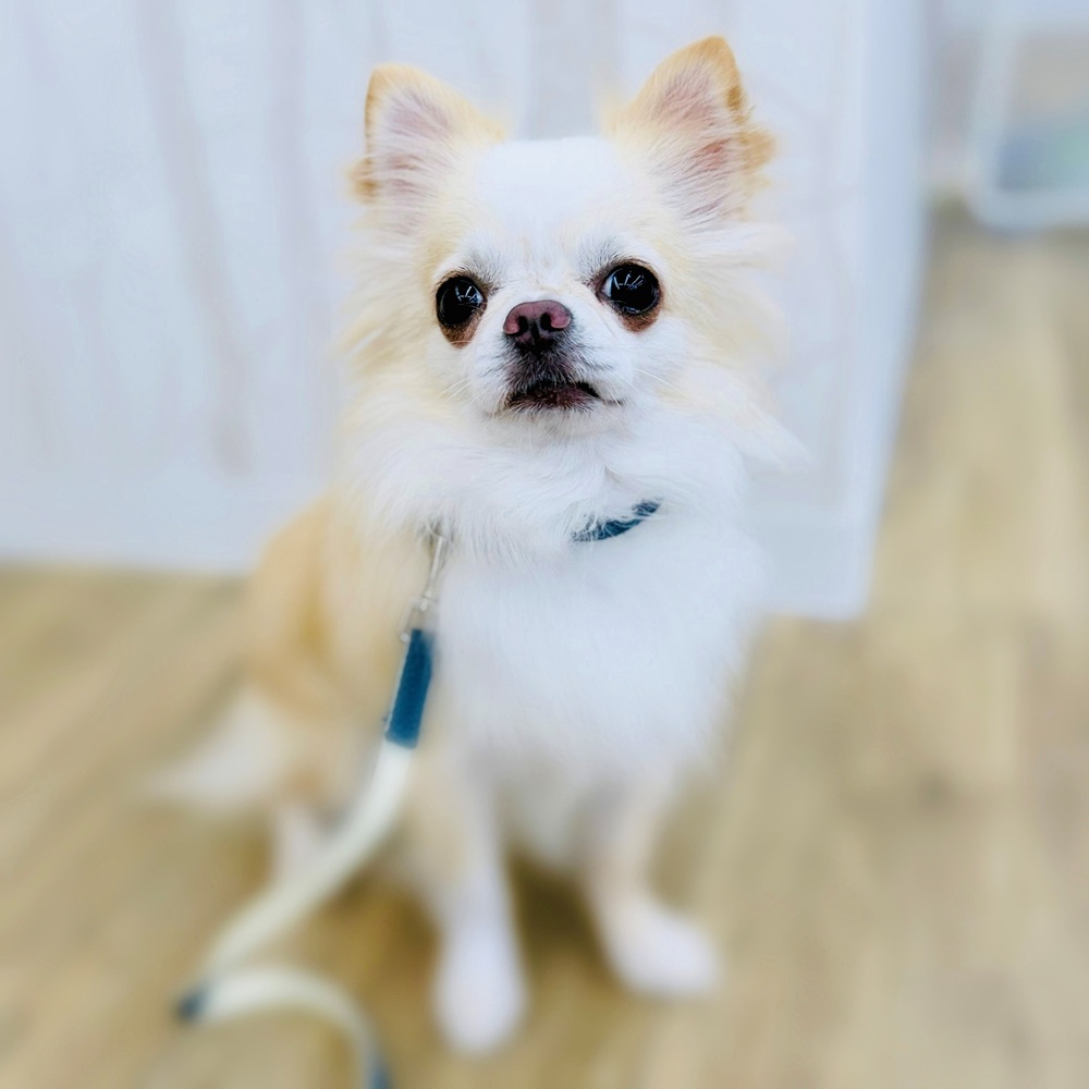 生体画像８
