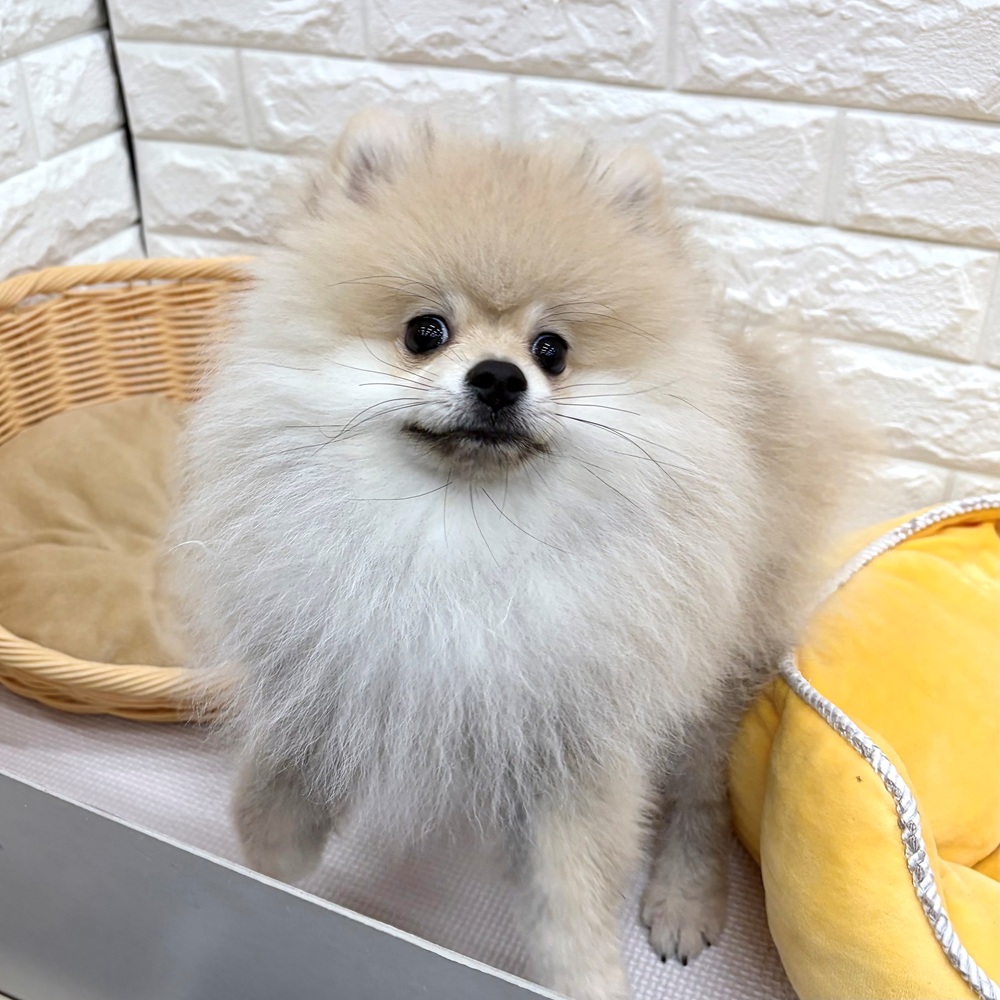 生体画像8