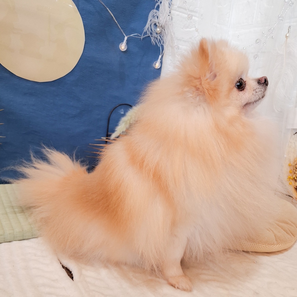 生体画像８