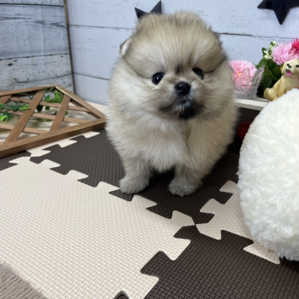 生体画像８